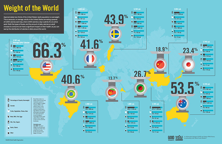 Infographics Training in Montreal